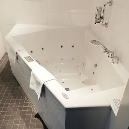 מלון Fletcher Wellness-hotel Trivium 4*